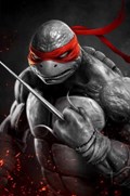 TEENAGE MUTANT NINJA TURTLES #1-616JT-B 