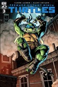 TEENAGE MUTANT NINJA TURTLES #3-RI-B 