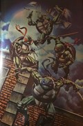 TEENAGE MUTANT NINJA TURTLES #1-BTC-B 