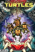 TEENAGE MUTANT NINJA TURTLES #13B 