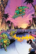 TEENAGE MUTANT NINJA TURTLES #13-RI-C 
