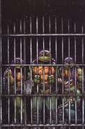 TEENAGE MUTANT NINJA TURTLES #11-RI 