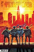 TEENAGE MUTANT NINJA TURTLES #12C 