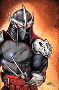 TEENAGE MUTANT NINJA TURTLES #12-RI 