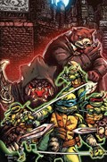 TEENAGE MUTANT NINJA TURTLES #14-RI 