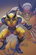 WOLVERINE #12-RI-B 