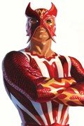 WOLVERINE #13D 