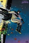 BATMAN: DARK AGE #2C 