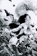 VAMPIRELLA #3-RI-M 