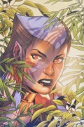 THUNDERCATS LOST #3-FOCRI 