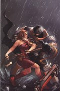 THUNDERCATS LOST #6-RI-E 