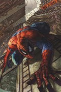AMAZING SPIDER-MAN #12-RI-B 