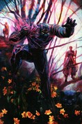 AMAZING SPIDER-MAN #30-RI-B 