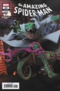 AMAZING SPIDER-MAN #22E 