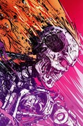 THE TERMINATOR #4-RI-E 