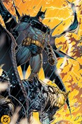 ABSOLUTE BATMAN #1-FANX-B 