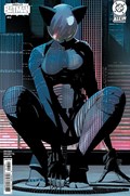 ABSOLUTE BATMAN #13-RI 