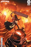 ABSOLUTE WONDER WOMAN #4C 