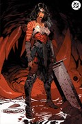 ABSOLUTE WONDER WOMAN #1-5th-C 