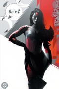 ABSOLUTE WONDER WOMAN #1-RI-B 