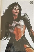 ABSOLUTE WONDER WOMAN #1-SOZO-B 