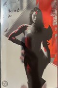ABSOLUTE WONDER WOMAN #1-2nd-C 