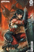 ABSOLUTE WONDER WOMAN #15B 