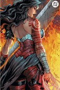 ABSOLUTE WONDER WOMAN #17-CTRDR-B 