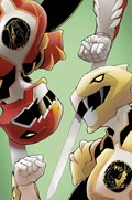POWER RANGERS: PRIME #13D 