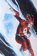 POWER RANGERS: PRIME #13-RI-D 