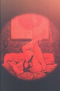 HEAT SEEKER: COMBUSTION: A GUN HONEY SERIES #3K 