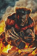 ULTIMATE WOLVERINE #1-RI-C 