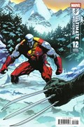 ULTIMATE WOLVERINE #12-RI-C 