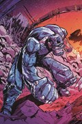 SILVERHAWKS #4-RI-D 