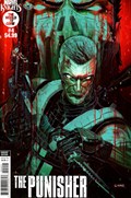 MARVEL KNIGHTS: PUNISHER #4B 