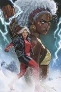 ROGUE STORM #1-RI-D 
