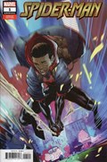 SPIDER-MAN ANNUAL #1B 
