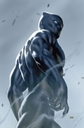 MARVEL KNIGHTS: THE WORLD TO COME #2-RI-B 