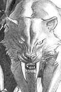 BLACK CAT #2-RI-B 