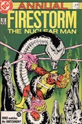 FURY OF FIRESTORM ANNUAL #4 