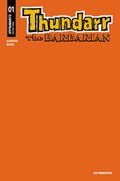 THUNDARR THE BARBARIAN #1-FOC 