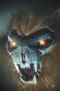 THUNDARR THE BARBARIAN #2-RI-D 