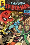 THE AMAZING SPIDER-MAN #206 