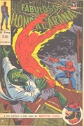 EL FABULOSO HOMBRE ARAñA #250 