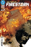 THE FURY OF FIRESTORM #3 