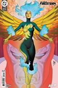 THE FURY OF FIRESTORM #4B 