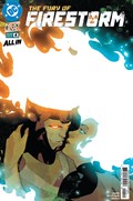 THE FURY OF FIRESTORM #4 