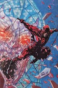 DAREDEVIL #1-RI-2nd-B 
