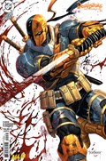 DEATHSTROKE, THE TERMINATOR #2C 
