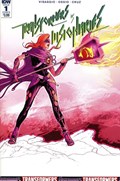 TRANSFORMERS VS. VISIONARIES #1B 